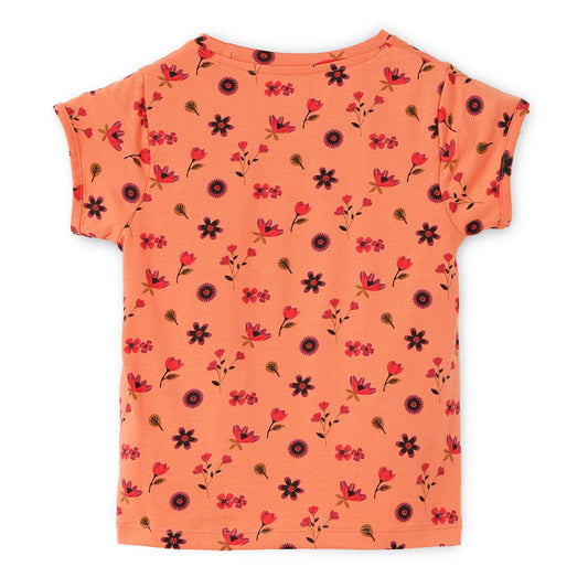 Blissberry Cotton Round Neck Tees for Girls Bbk-aw-t-03 Pink