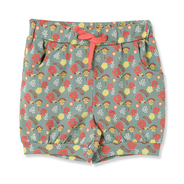 Blissberry Cotton Trendy Shorts for Girls Bbk-aw-b08 Green