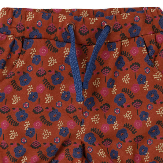 Blissberry Cotton Trendy Shorts for Girls Bbk-aw-b08 Brown